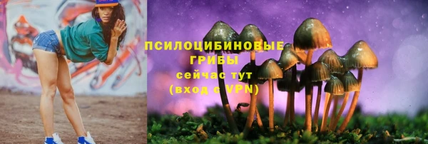 стаф Арсеньев